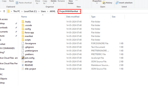 salesforcecliblog4and6
